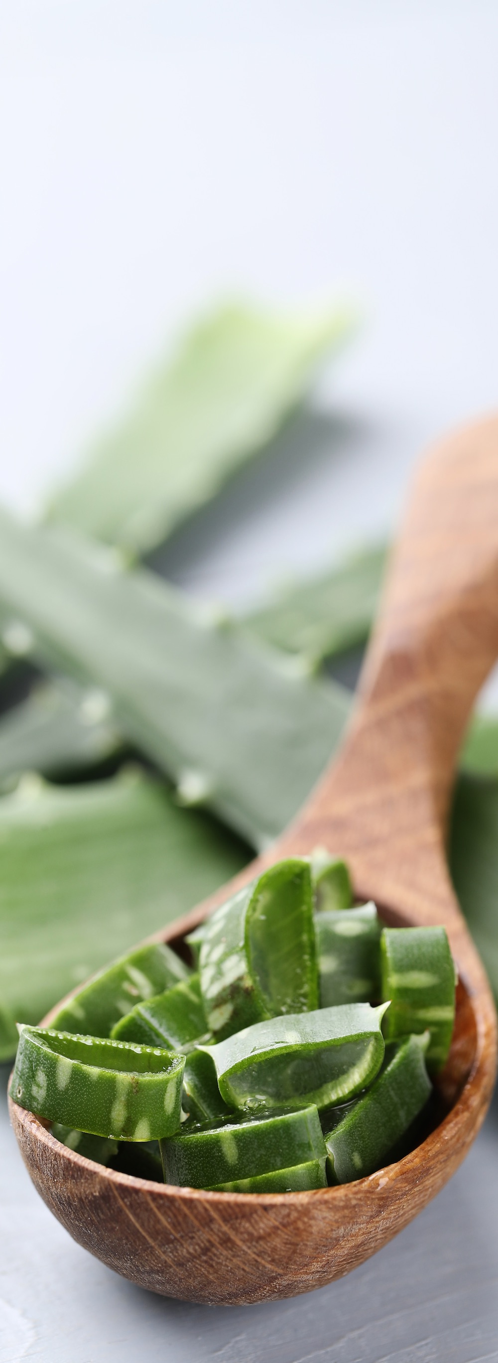 Spoonful of aloe vera Spoonful of aloe vera